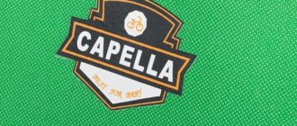 Capella çocuk bisikletleri - artıları ve eksileri, seçim ipuçları